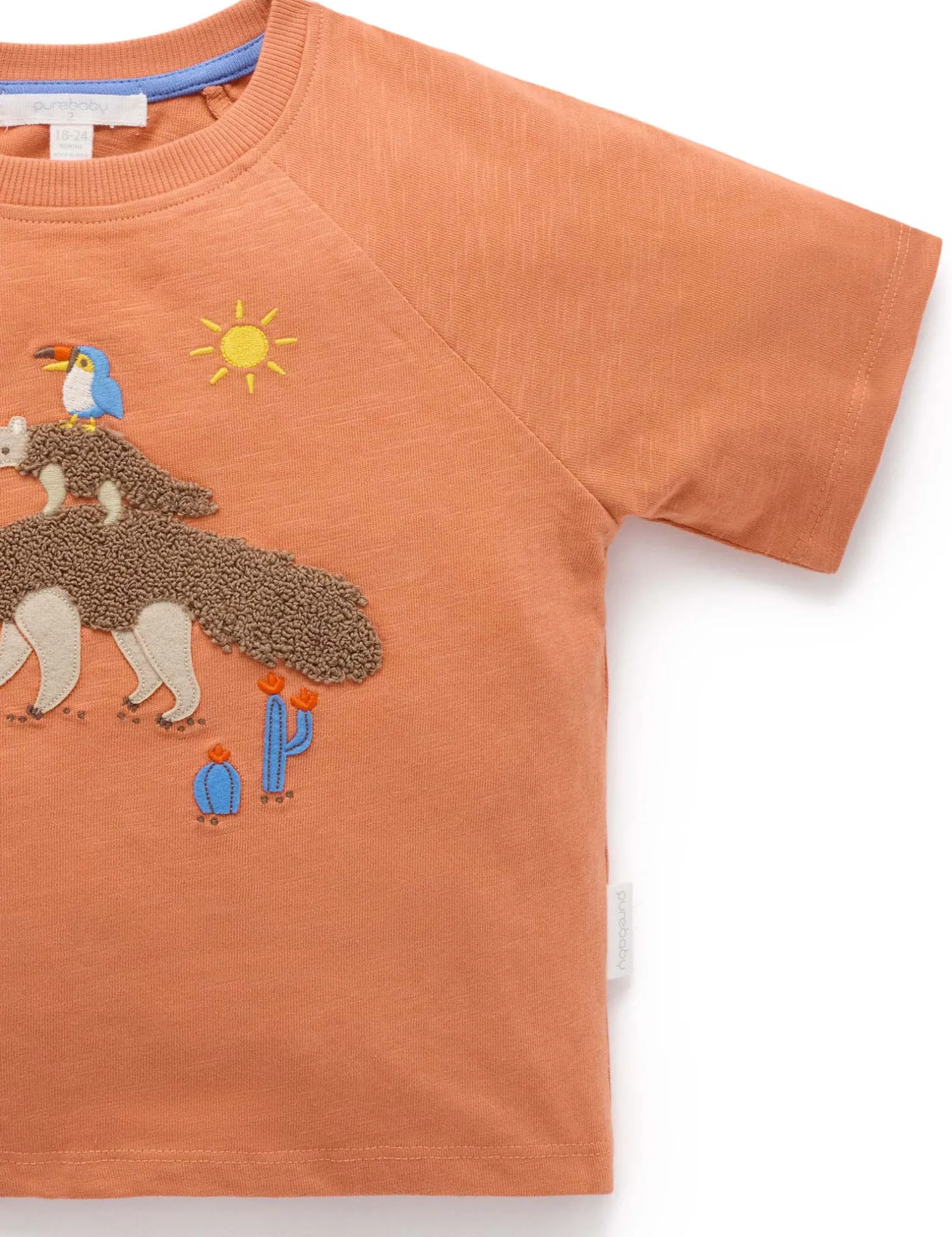 Anteater Oversized Tee
