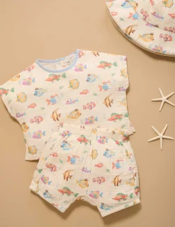 Fancy Fish Set