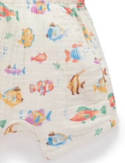 Fancy Fish Set