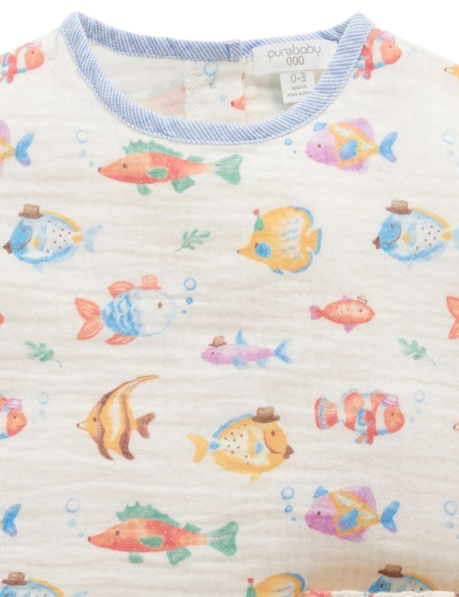 Fancy Fish Set
