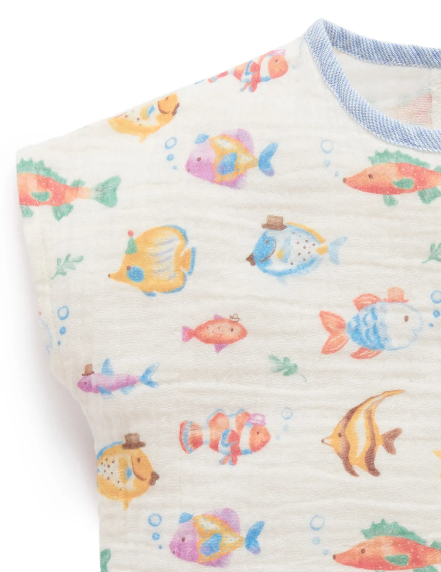 Fancy Fish Set