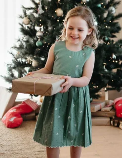 Festive Embroidered Dress