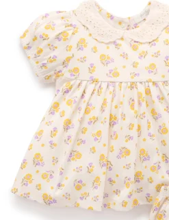 Luciana Bloomer Set