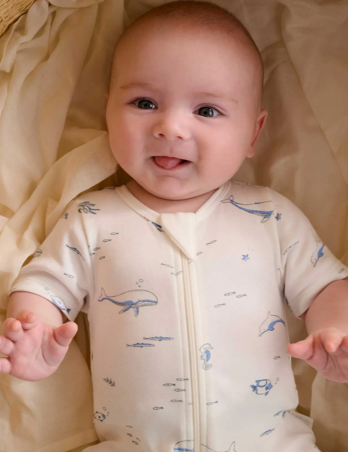 Nautical 2 Pack Short Zip Growsuit