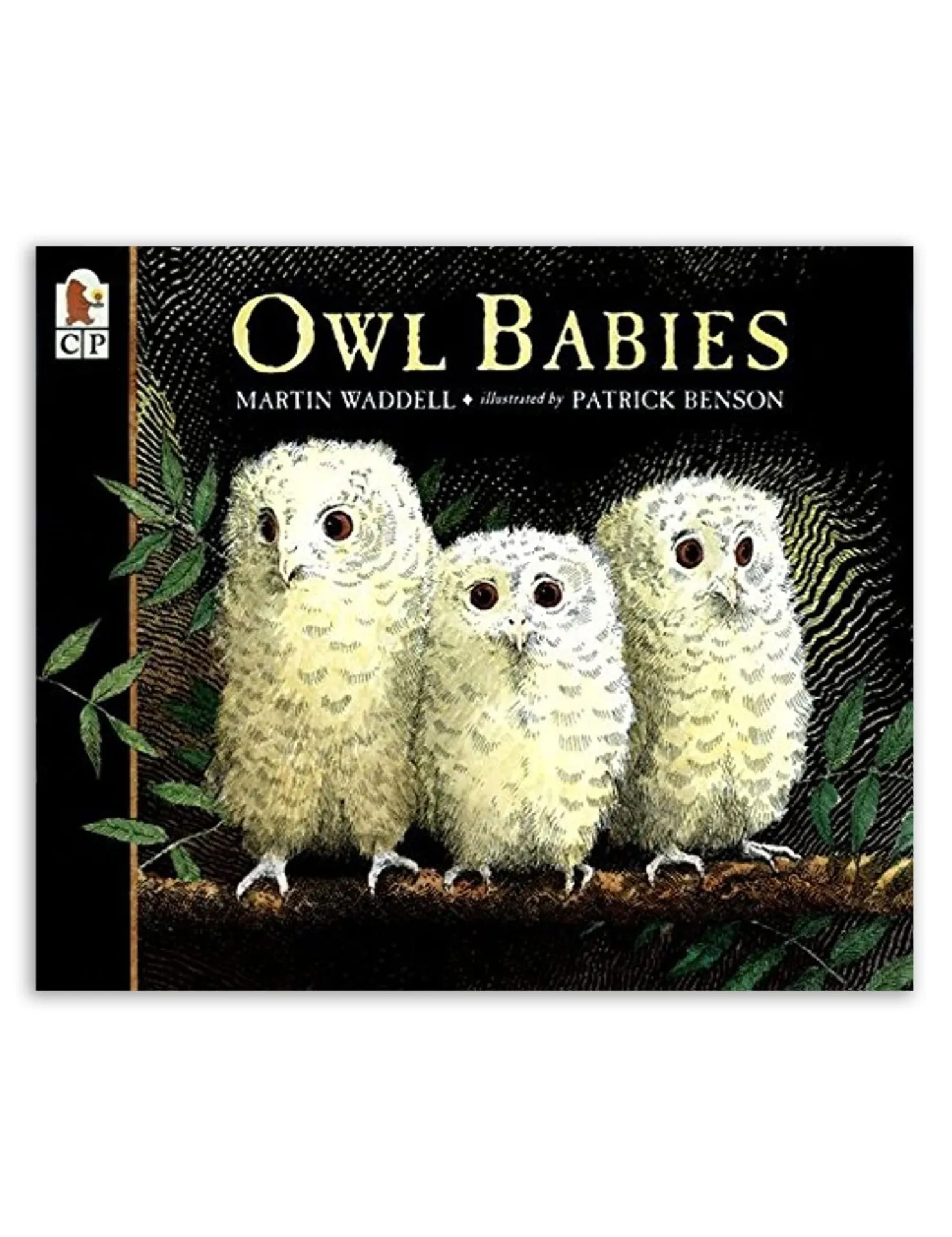Owl Babies