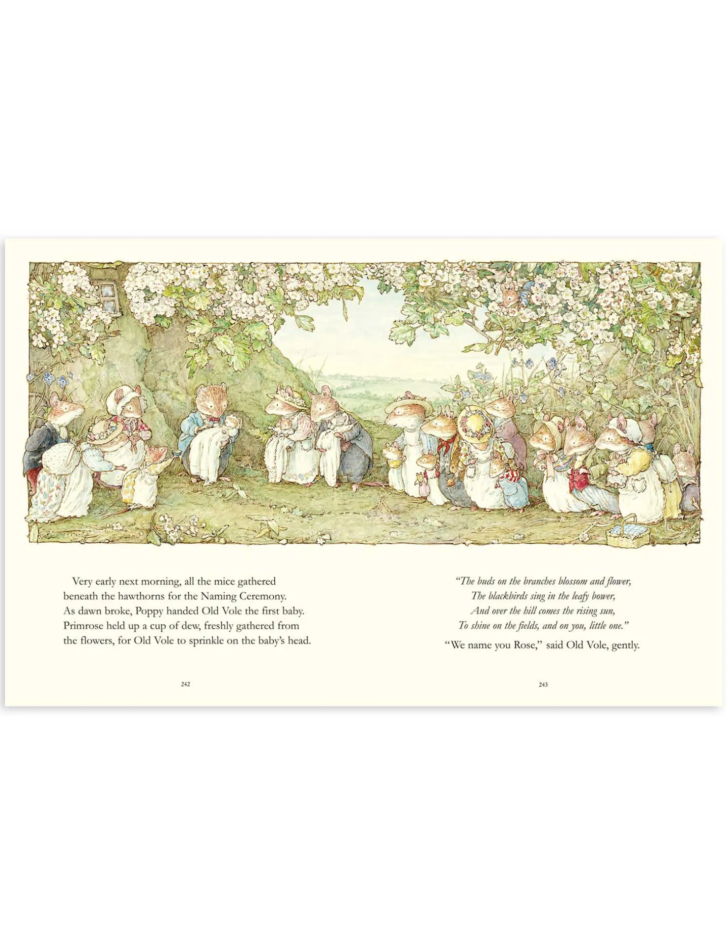 The Complete Brambly Hedge