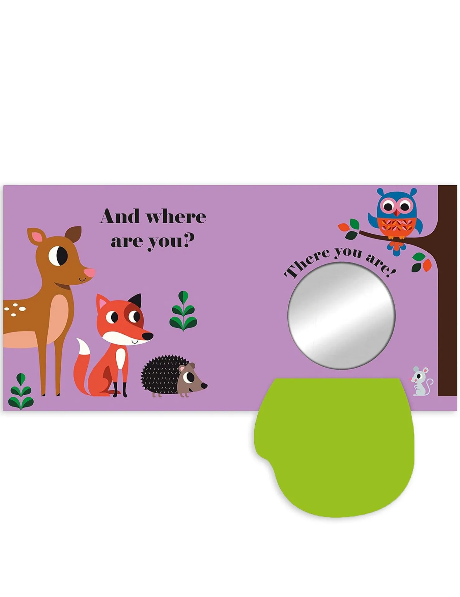 Where's Mr Owl?