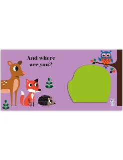Where's Mr Owl?